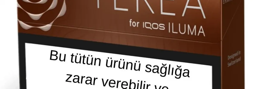 Terea Bronze Kıbrıs