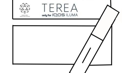 IQOS Iluma Terea